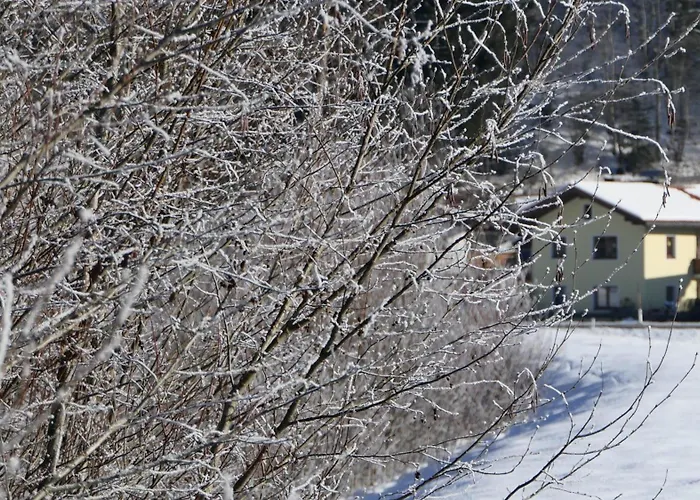 Eckschlager Apartmán